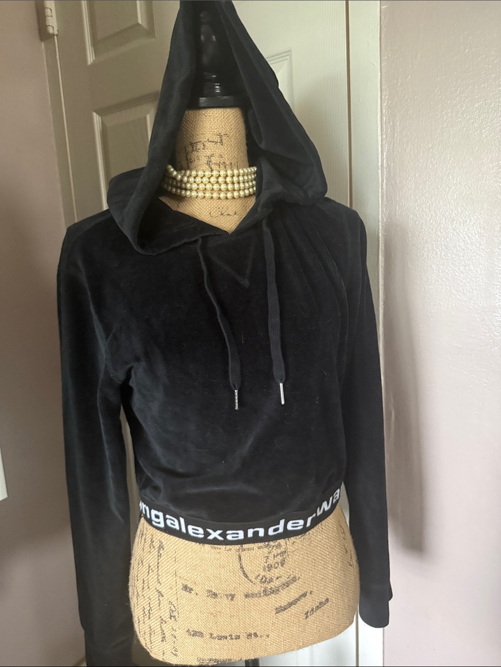 Alexander Wang Black Velvet Hooded Crop Pullover